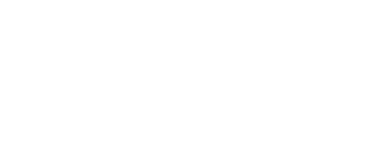 CSX White Logo